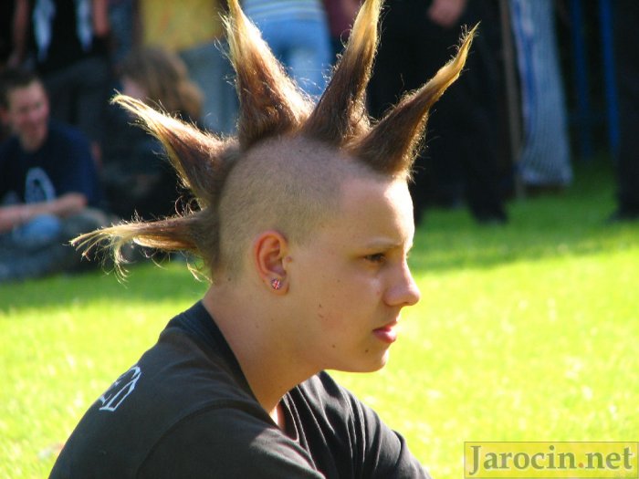 Jarocin Festiwal 2009